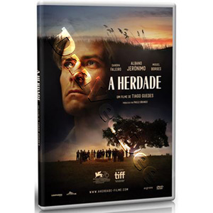 The Domain (DVD)